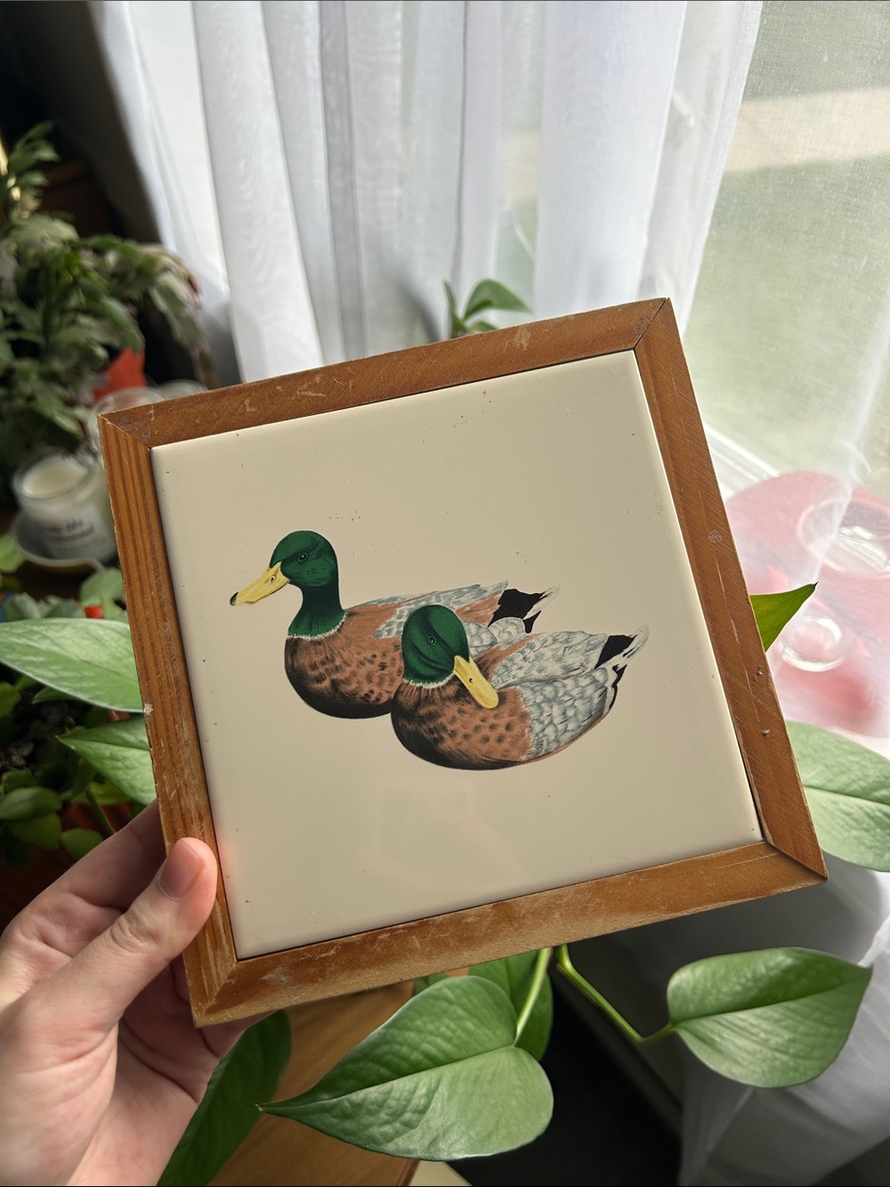 Mallard Duck Ceramic Wall Trivet